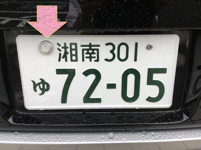 Genuine License Plate Bolt Seal