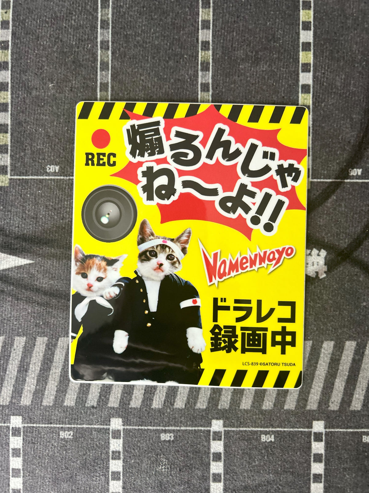 Car Recording Decals