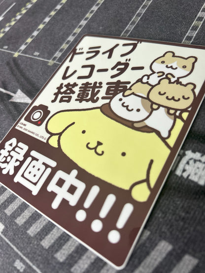 Car Recording Decals